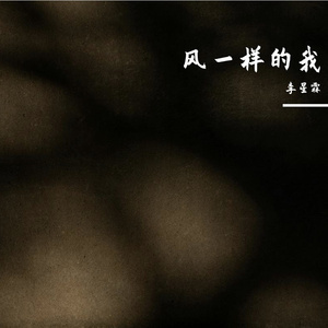 风一样的我
