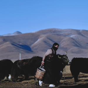 [Trap]SASIOVERLXRD X Kenrobb Type beat - 凉山的风