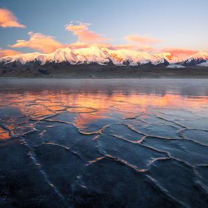 风中摇摆的诉说