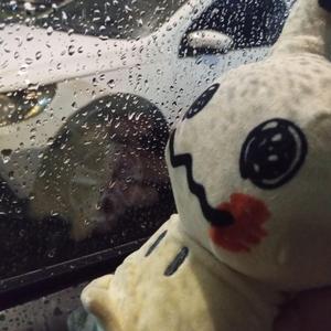 hình nền điện thoại anh luôn để em