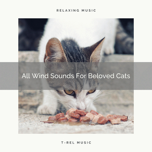 Woods Sounds For All Cats