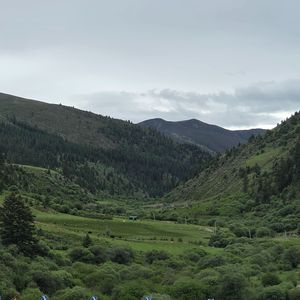 寂静山谷