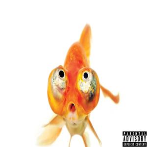 goldfish