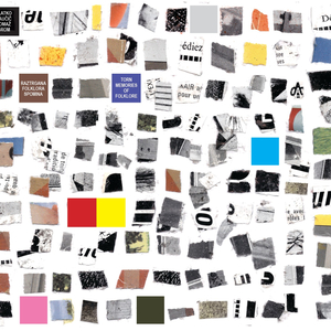 Vsak v svoji občini / Each In His Own Municipality