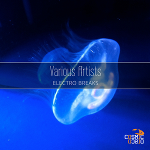 Battle of The Elektrons (Original Mix)