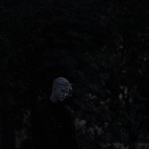 I Will Love You Among the Birches