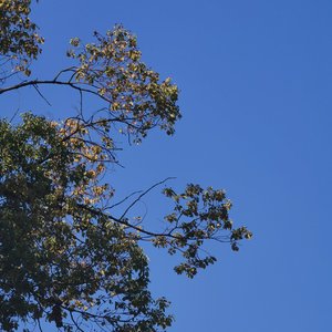 无痛之念（为知言版）