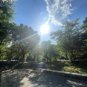 Three o'clock at noon