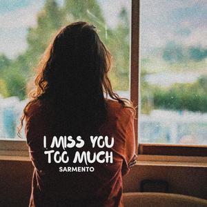 I Miss You Too Much