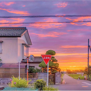 程艾影（男声吉他弹唱）