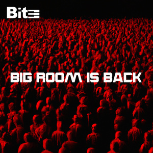 BIG ROOM IS BACK (Radio Edit)