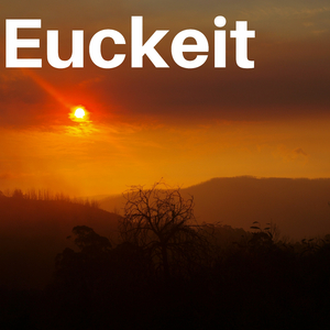 Euckeit