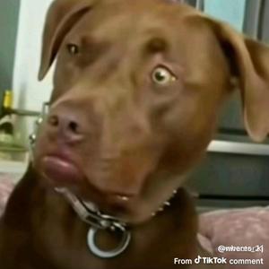 Blocks (feat. baby krash)