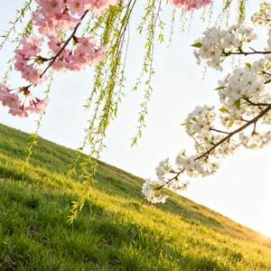 一想到你就喜欢