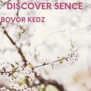 Discover Sence