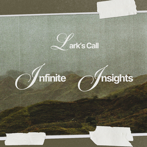 Infinite Insights