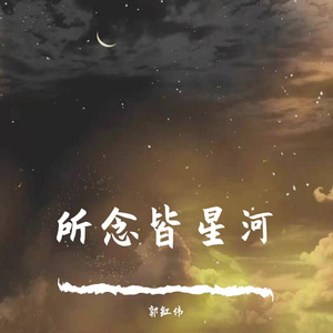所念皆星河