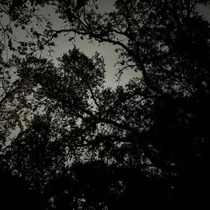 take me to my paradise (feat. addy)