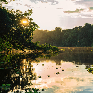 Lake & Ajna (Sixth Chakra)