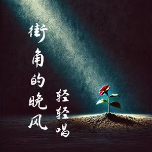 街角的晚风（轻轻唱）