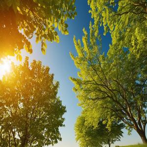 Hurra Hurra der Sommer ist bald da