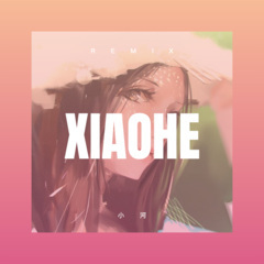 天下有情人 (Remix)