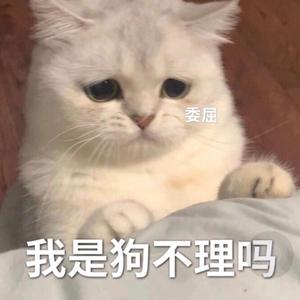 可不可以