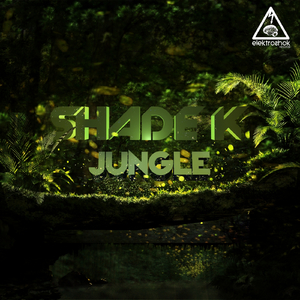 Jungle (Original Mix)