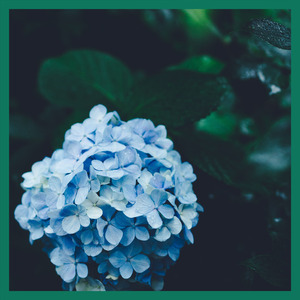 【FREE】"Autumn Rains" Lofi&Chill OldSchool Rap Beat