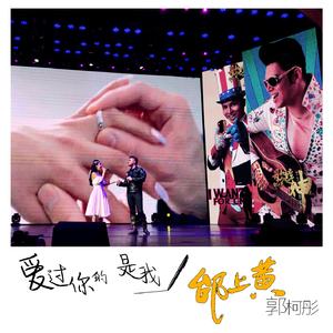 爱过你的是我(歌坛之神Live)