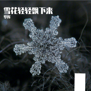 雪花轻轻飘下来