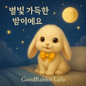 별빛 가득한 밤이에요