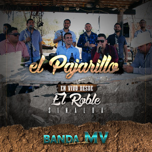 El Pajarillo (En Vivo Desde el Roble Sinaloa) (En Vivo)