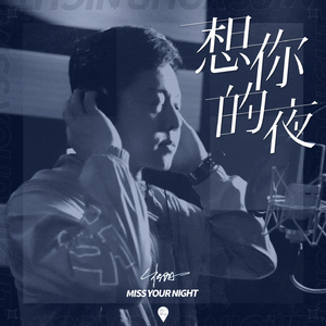 想你的夜 (伴奏)