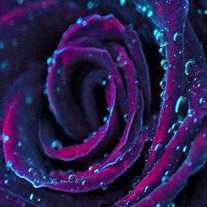 Beautiful Flower Pt. 1