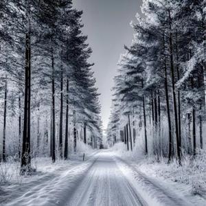 Eisige Winter