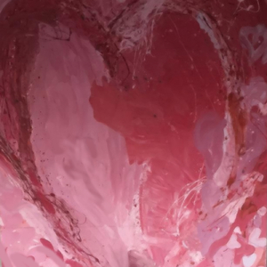 魔法にかけられた