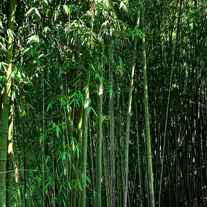 [Free] " Mountain Road " " Gunna Type Trap Beat "