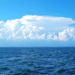 令人放松的海浪声和海鸥鸣叫声