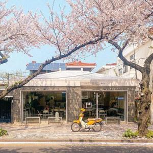 小观园MIX cover 塞宁