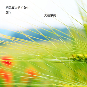 相思离人泪 (女生版)