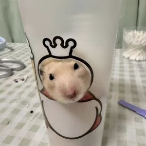 鼠_闹_味