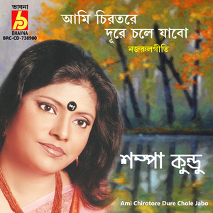 Ami Chirotore Dure Chole