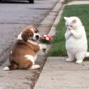 晚风 球场和你 - 表白, 清新 pop r&b type beat