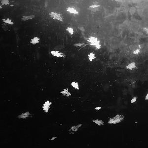 “浮沉”中国风 x 意识流 Type Beat