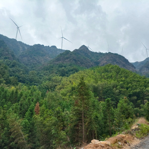 八百里洞庭美如画