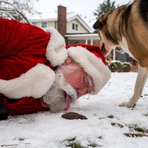 Kerstliedjes: De kerstman likt hondendrollen!