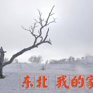 东北我的家