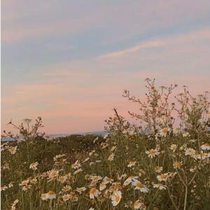 Bendita primavera
