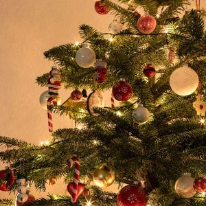 The Christmas High 圣诞微醺